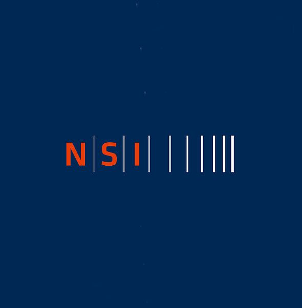 Logo_NSI